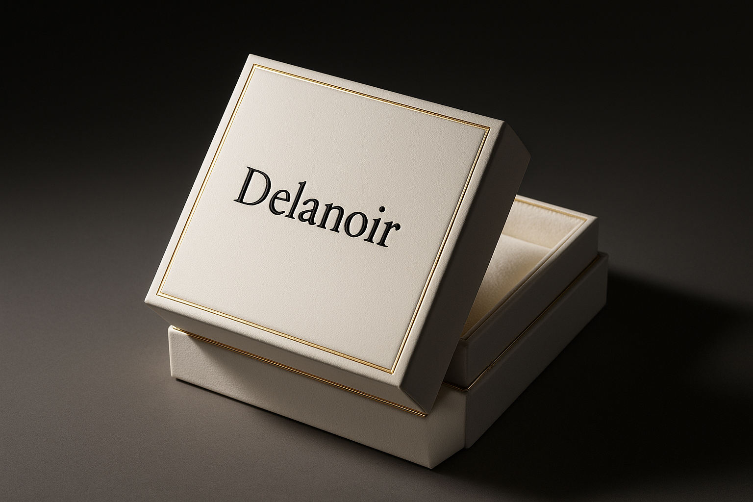 A Luxurious Experience for Everyone with Delanoir.