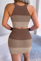 Color Block Sleeveless Crop Knit Top and Skirt Set - Delanoir