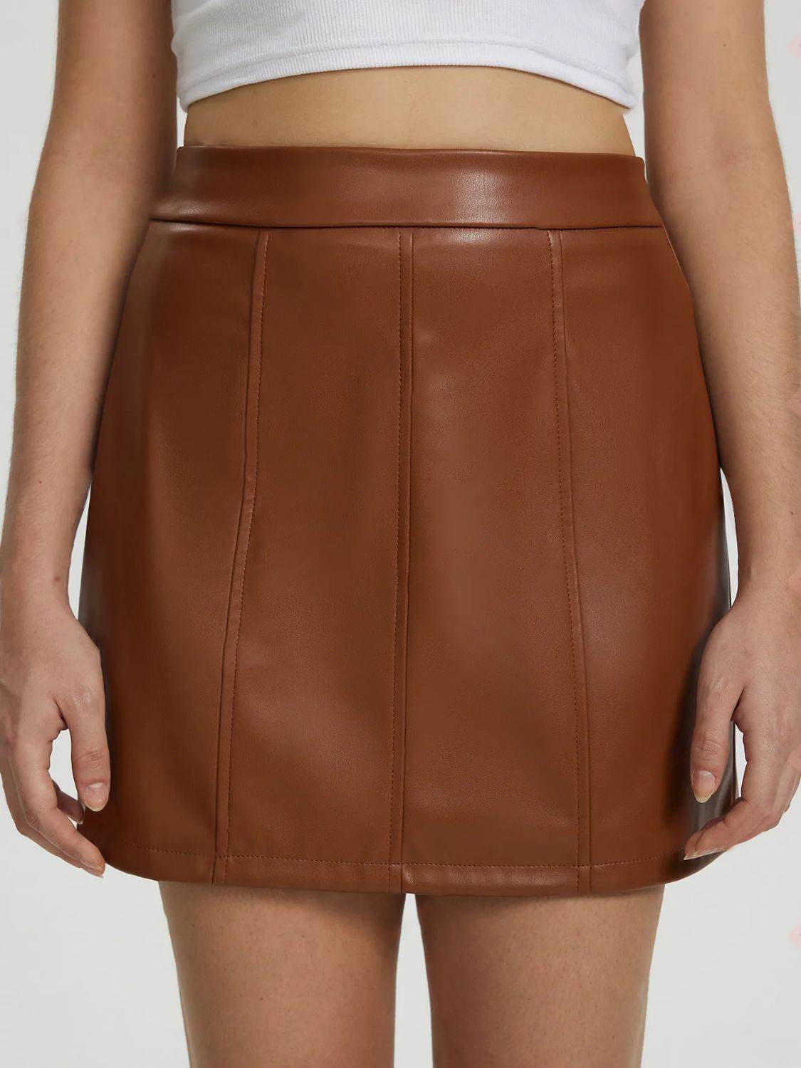Mini Skirt with Zipper - Delanoir