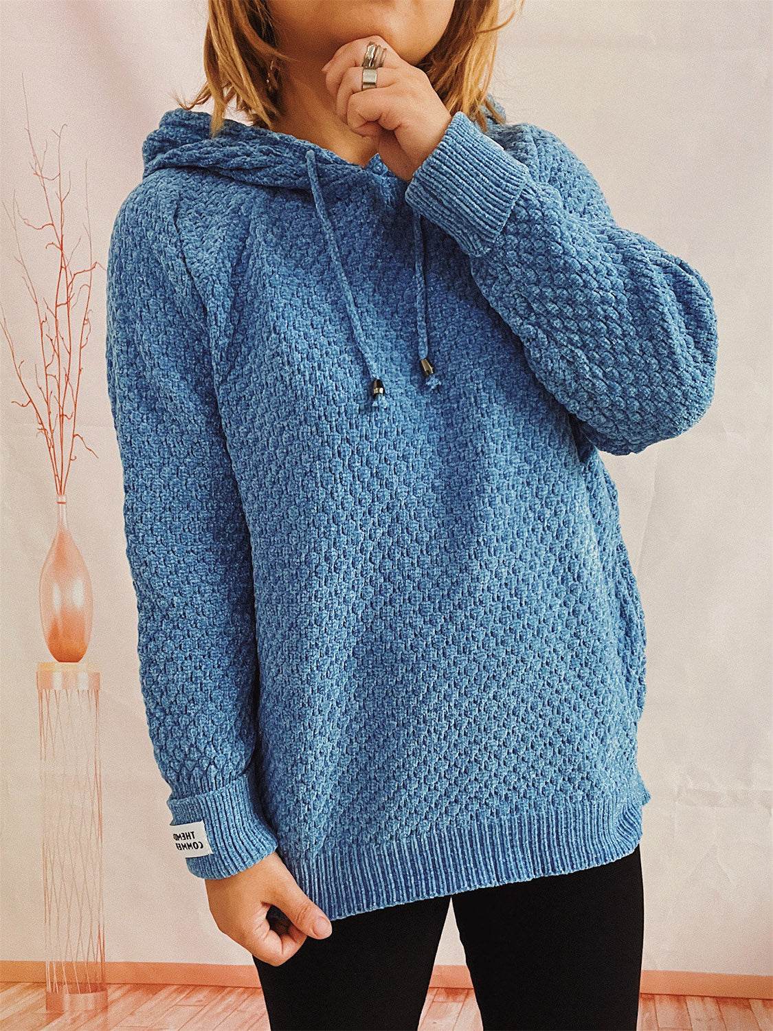 Drawstring Long Sleeve Hooded Sweater - Delanoir