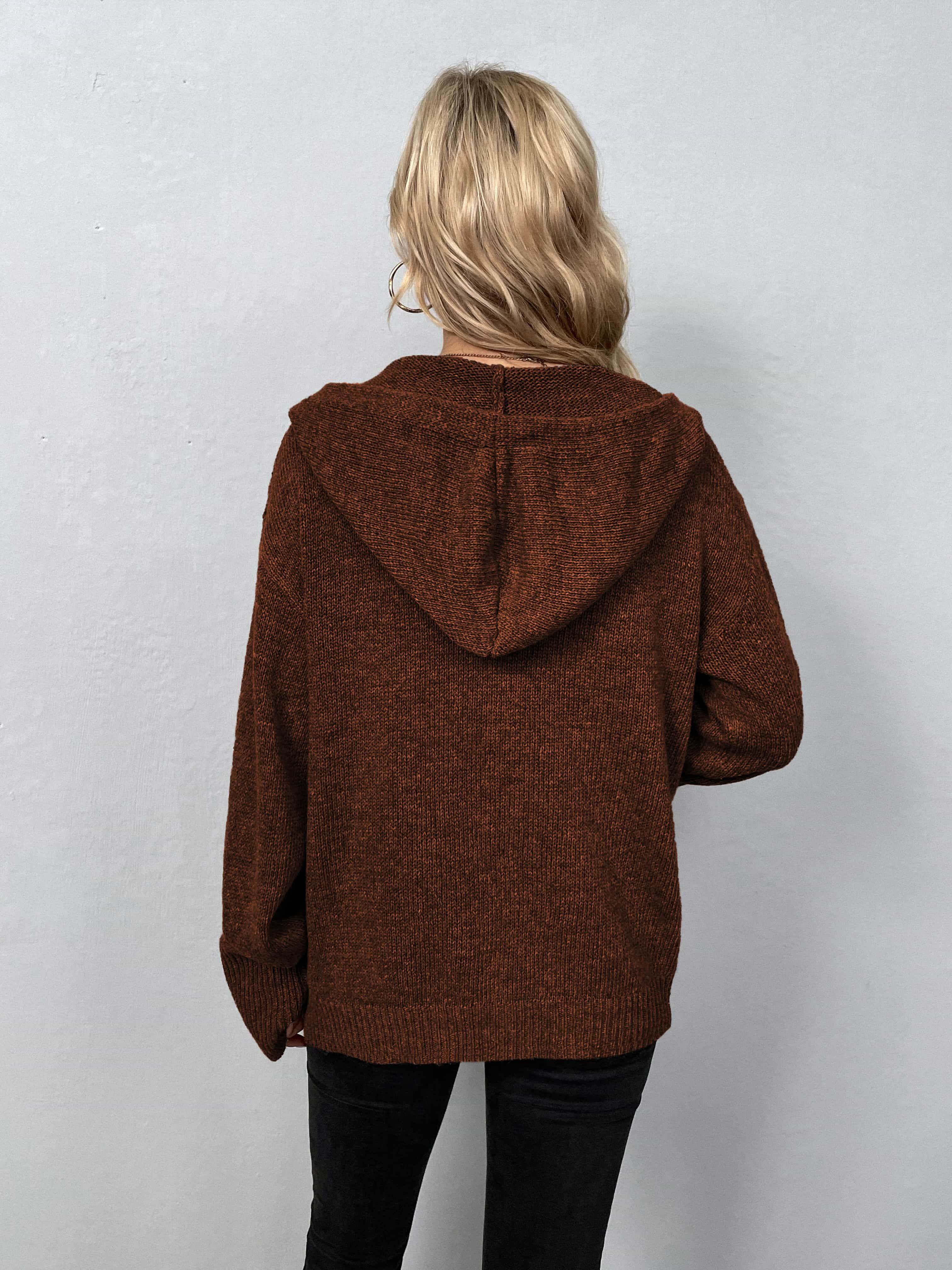 Button-Down Long Sleeve Hooded Sweater - Delanoir