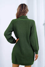 Buttoned Turtleneck Long Sleeve Sweater Dress - Delanoir