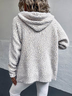 Zip-Up Hooded Sweater - Delanoir