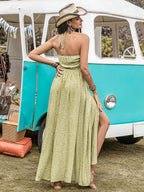 Printed Halter Neck Maxi Dress - Delanoir