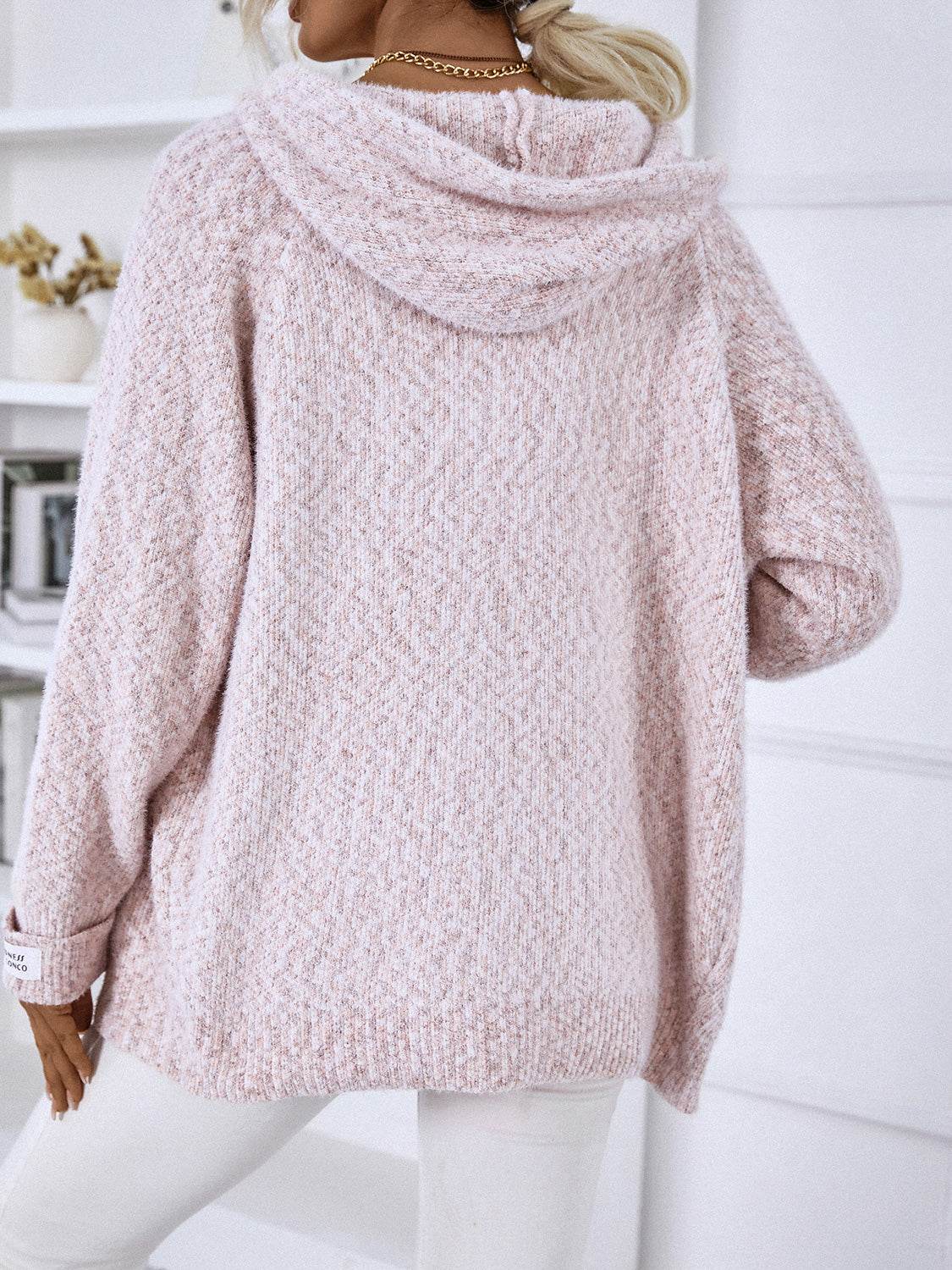 Zip-Up Hooded Sweater - Delanoir
