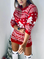 Christmas Element Round Neck Mini Sweater Dress - Delanoir