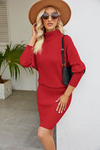 Ribbed Mock Neck Long Sleeve Dress - Delanoir
