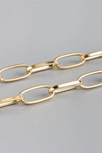 Iron Chain Belt - Delanoir