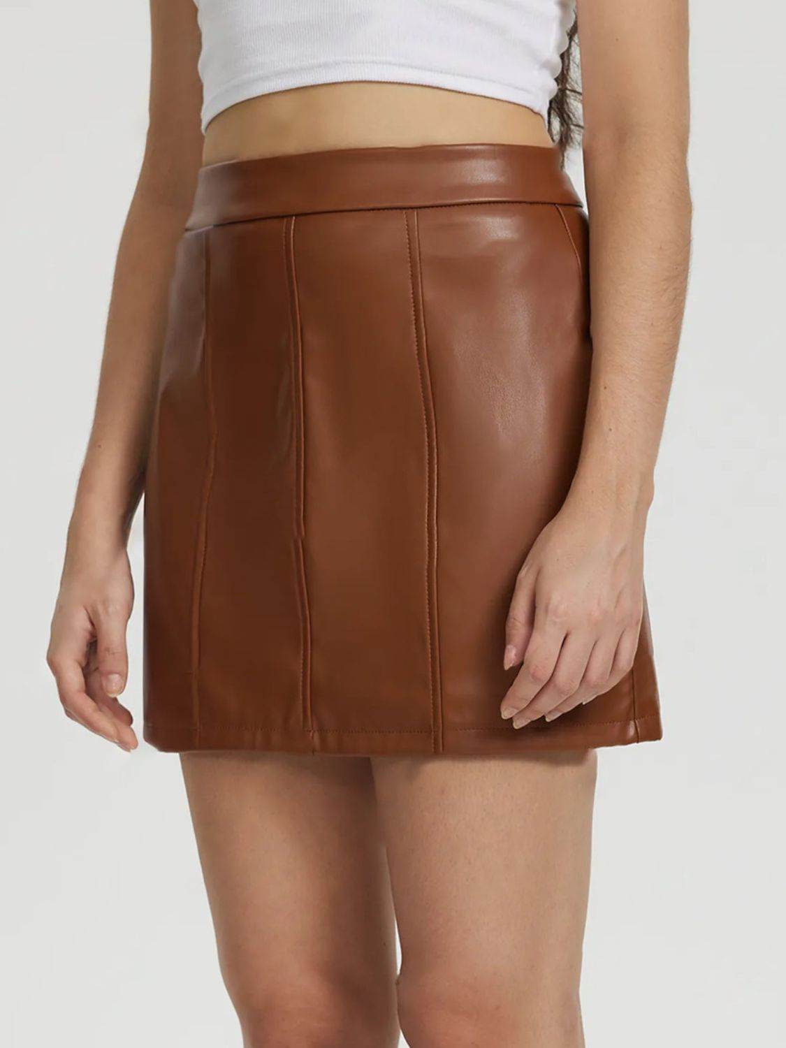 Mini Skirt with Zipper - Delanoir