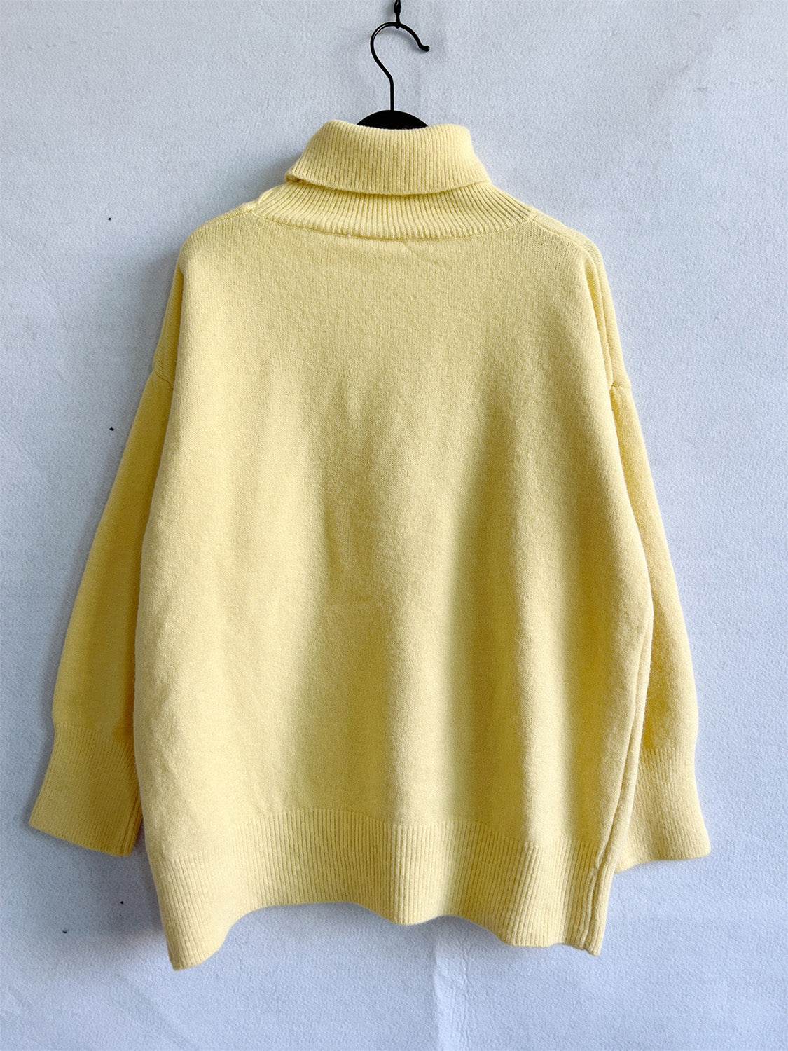 Turtleneck Long Sleeve Sweater - Delanoir