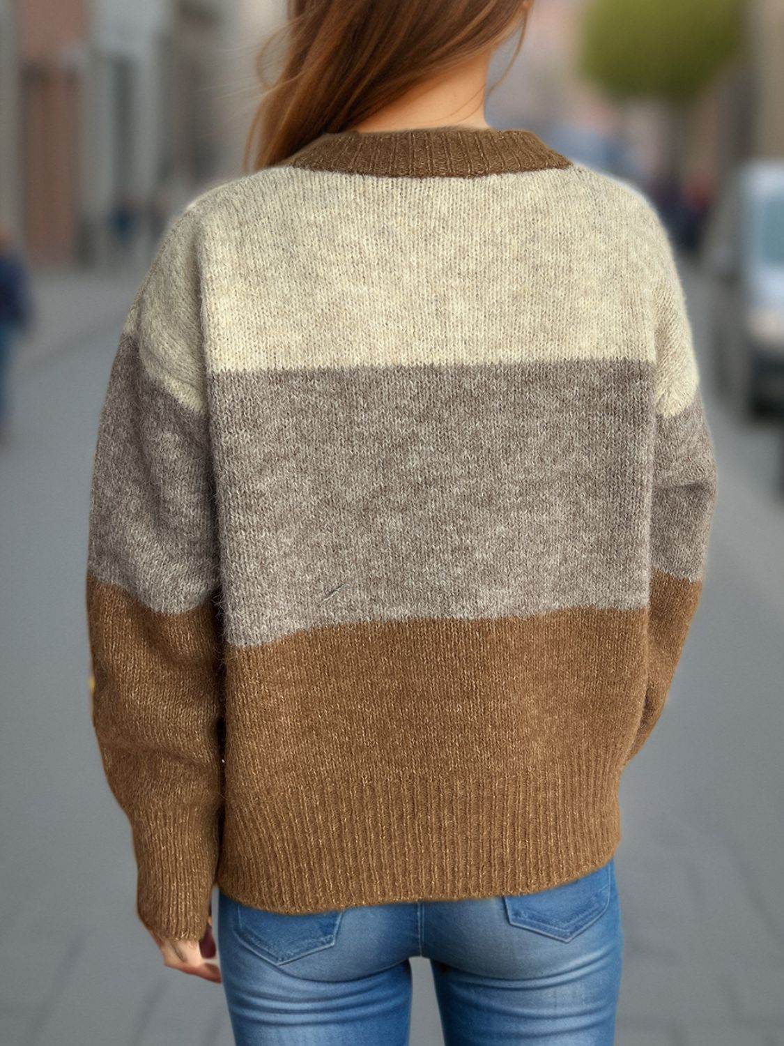 Color Block Round Neck Button Up Cardigan - Delanoir