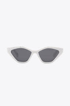 Cat Eye Polycarbonate Sunglasses - Delanoir