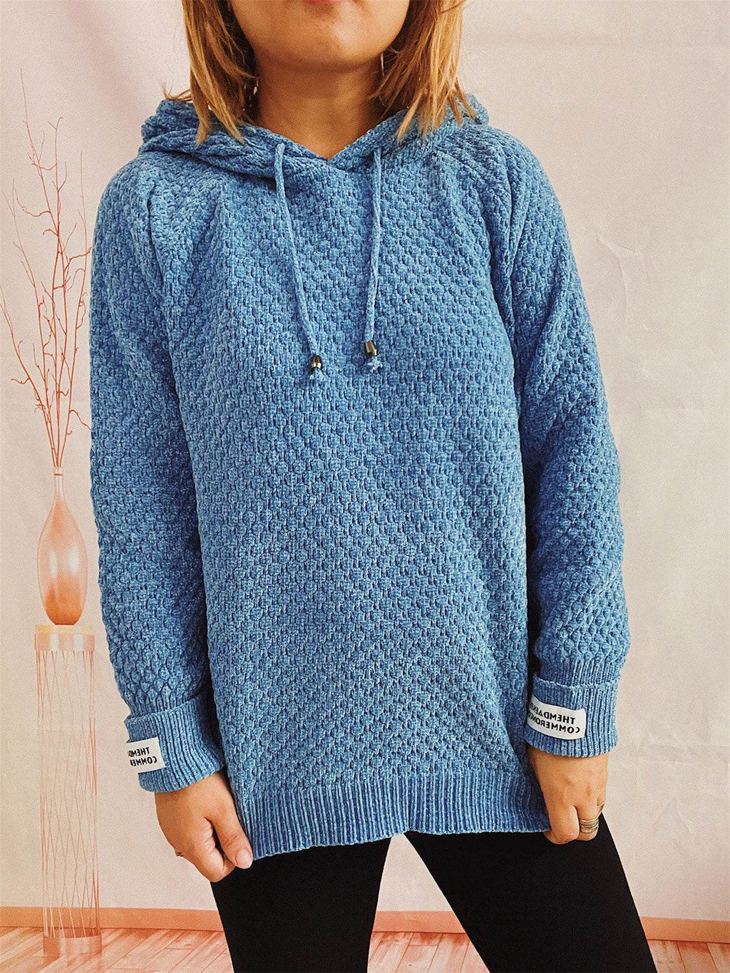 Drawstring Long Sleeve Hooded Sweater - Delanoir