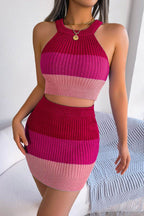 Color Block Sleeveless Crop Knit Top and Skirt Set - Delanoir