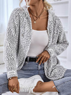 Zip-Up Hooded Sweater - Delanoir