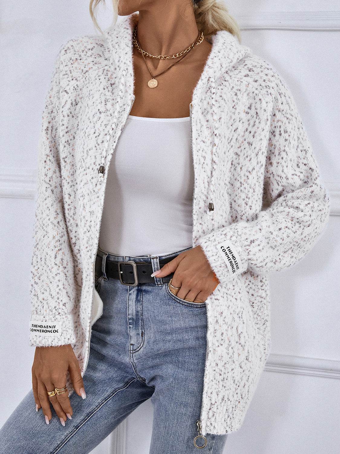 Zip-Up Hooded Sweater - Delanoir