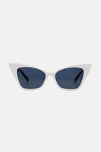 Acetate Lens Cat Eye Sunglasses - Delanoir