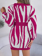 Animal Print V-Neck Long Sleeve Sweater Dress - Delanoir