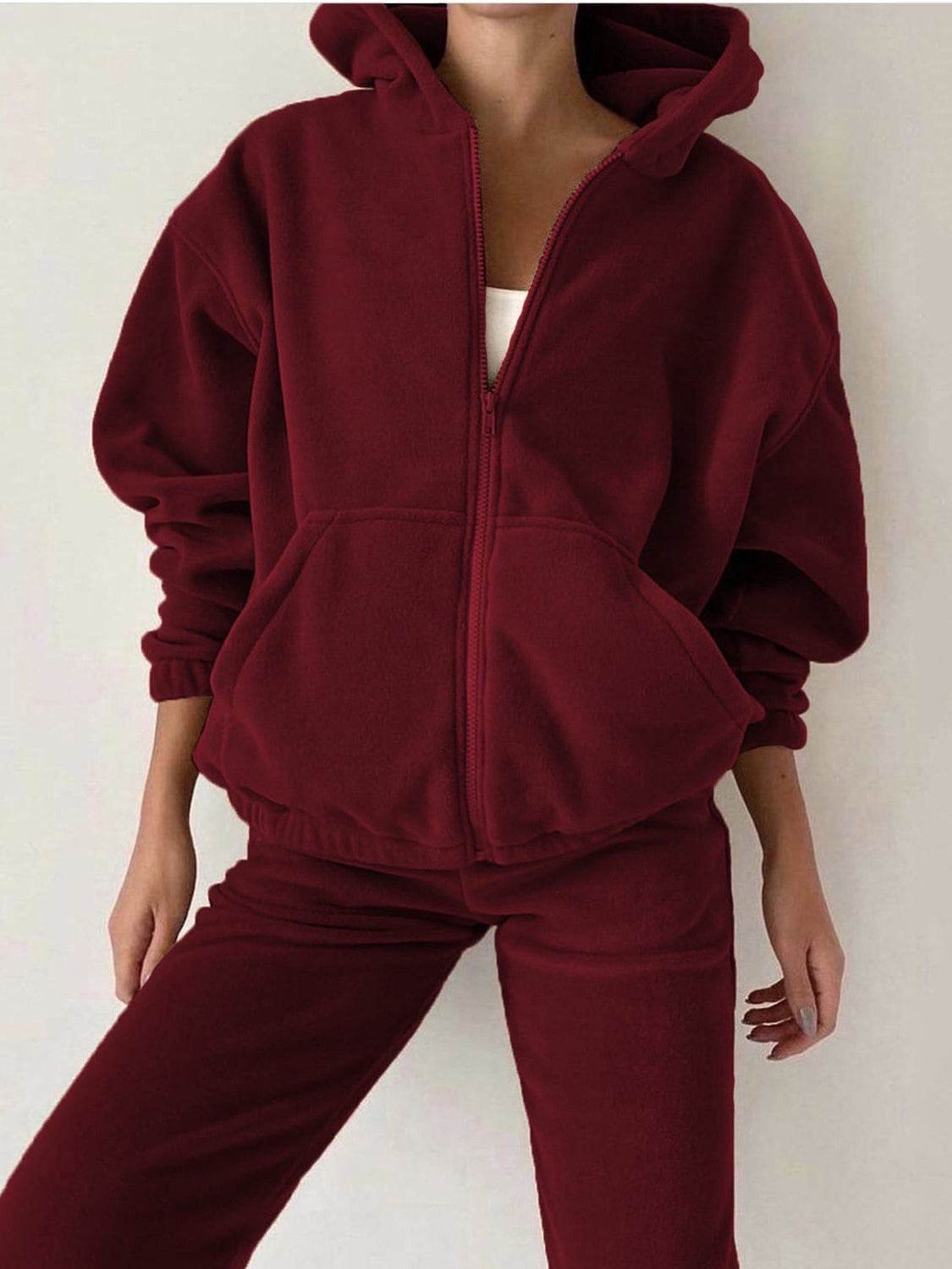 Zip Up Long Sleeve Hoodie and Joggers Set - Delanoir
