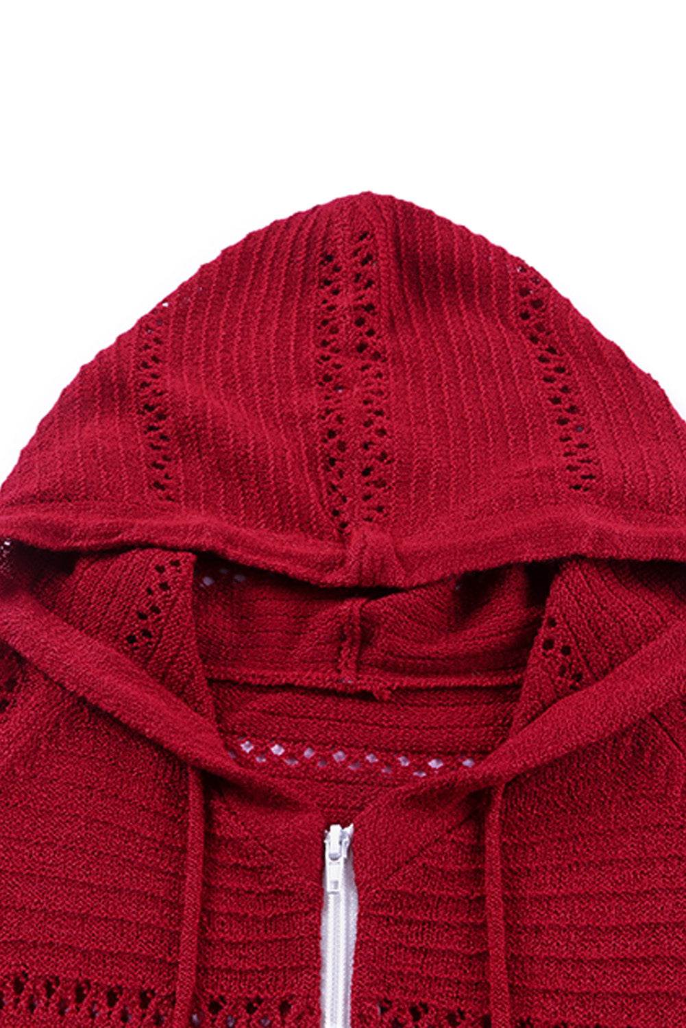 Zip-Up Raglan Sleeve Openwork Hooded Cardigan - Delanoir