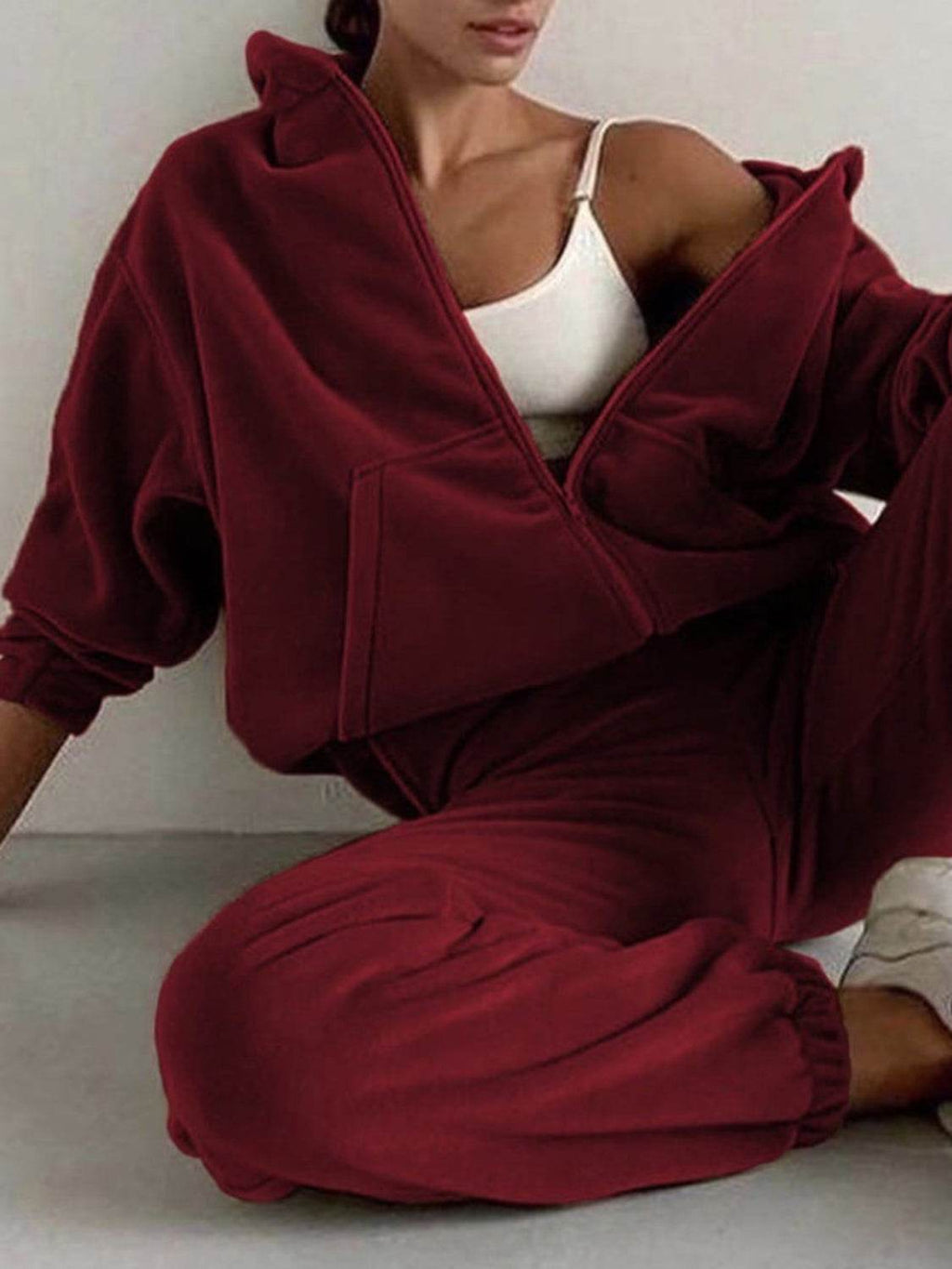 Zip Up Long Sleeve Hoodie and Joggers Set - Delanoir