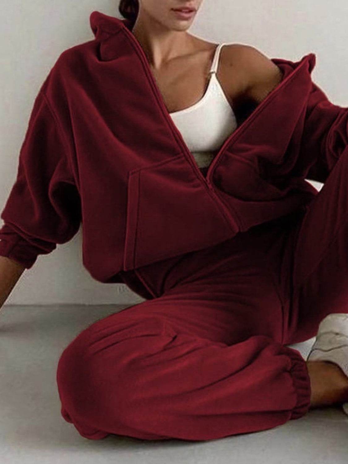 Zip Up Long Sleeve Hoodie and Joggers Set - Delanoir