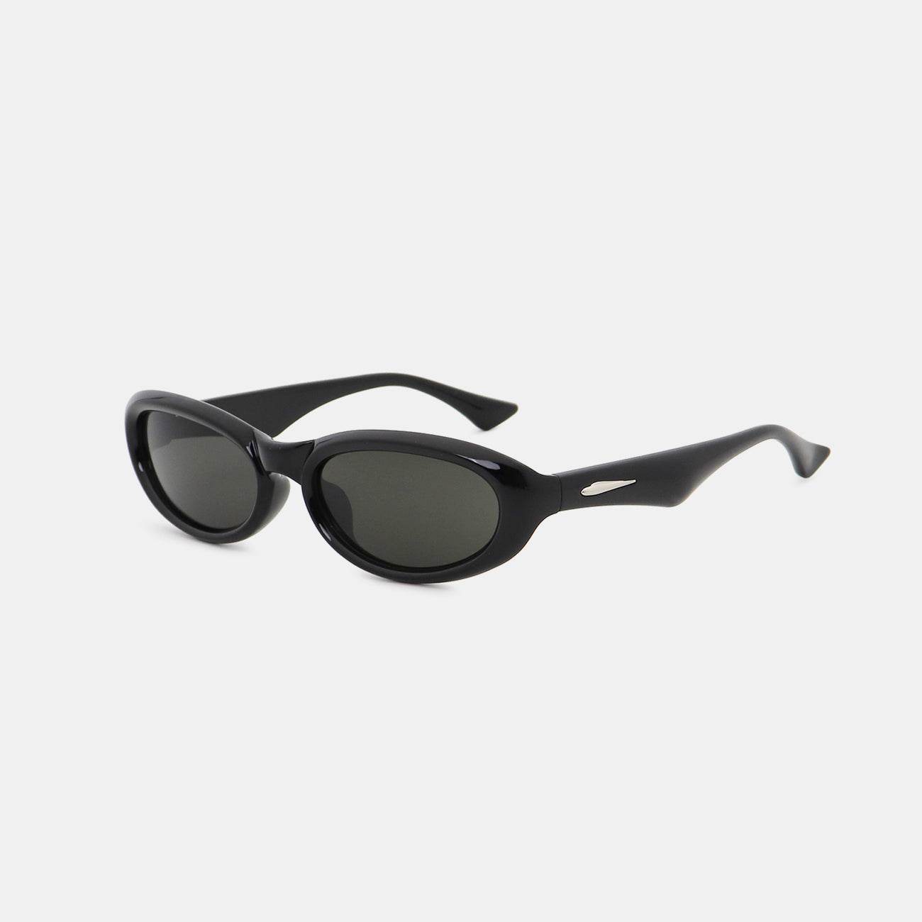 Polycarbonate Frame Cat Eye Sunglasses - Delanoir