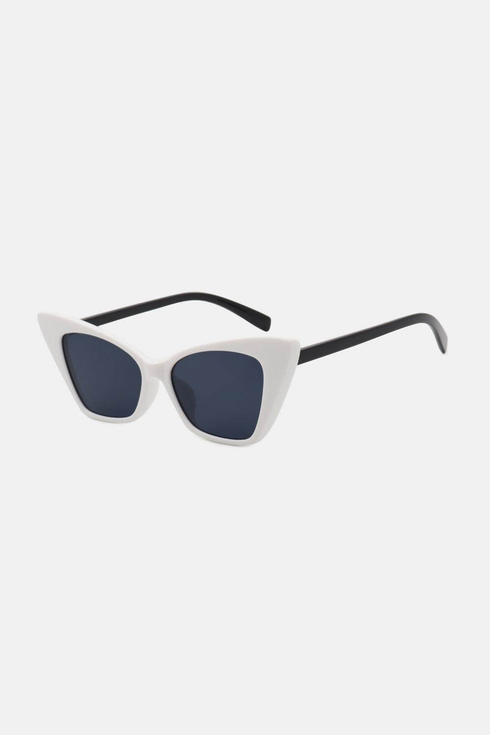 Acetate Lens Cat Eye Sunglasses - Delanoir