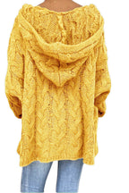 Cable-Knit Hooded Sweater - Delanoir