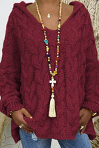 Cable-Knit Hooded Sweater - Delanoir