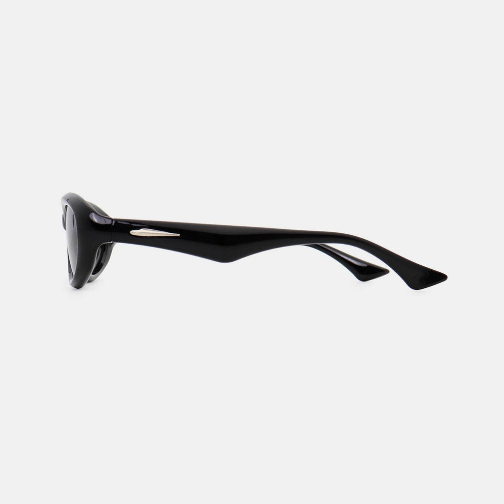 Polycarbonate Frame Cat Eye Sunglasses - Delanoir