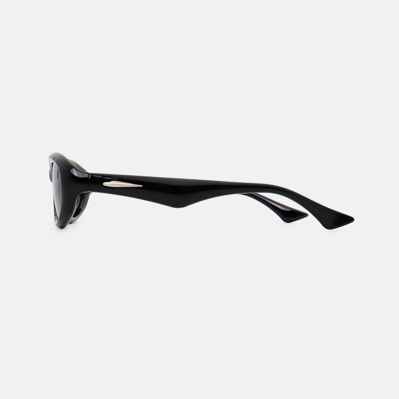 Polycarbonate Frame Cat Eye Sunglasses - Delanoir
